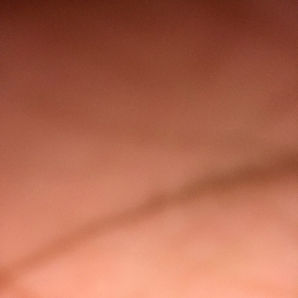 Meet your Posher, Dalemyne